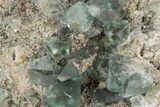 Fluorescent Green Fluorite Cluster - Lady Annabella Mine, England #235375-1